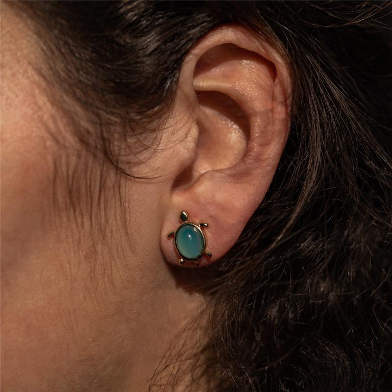 BRINCO FOLHEADO A PRATA